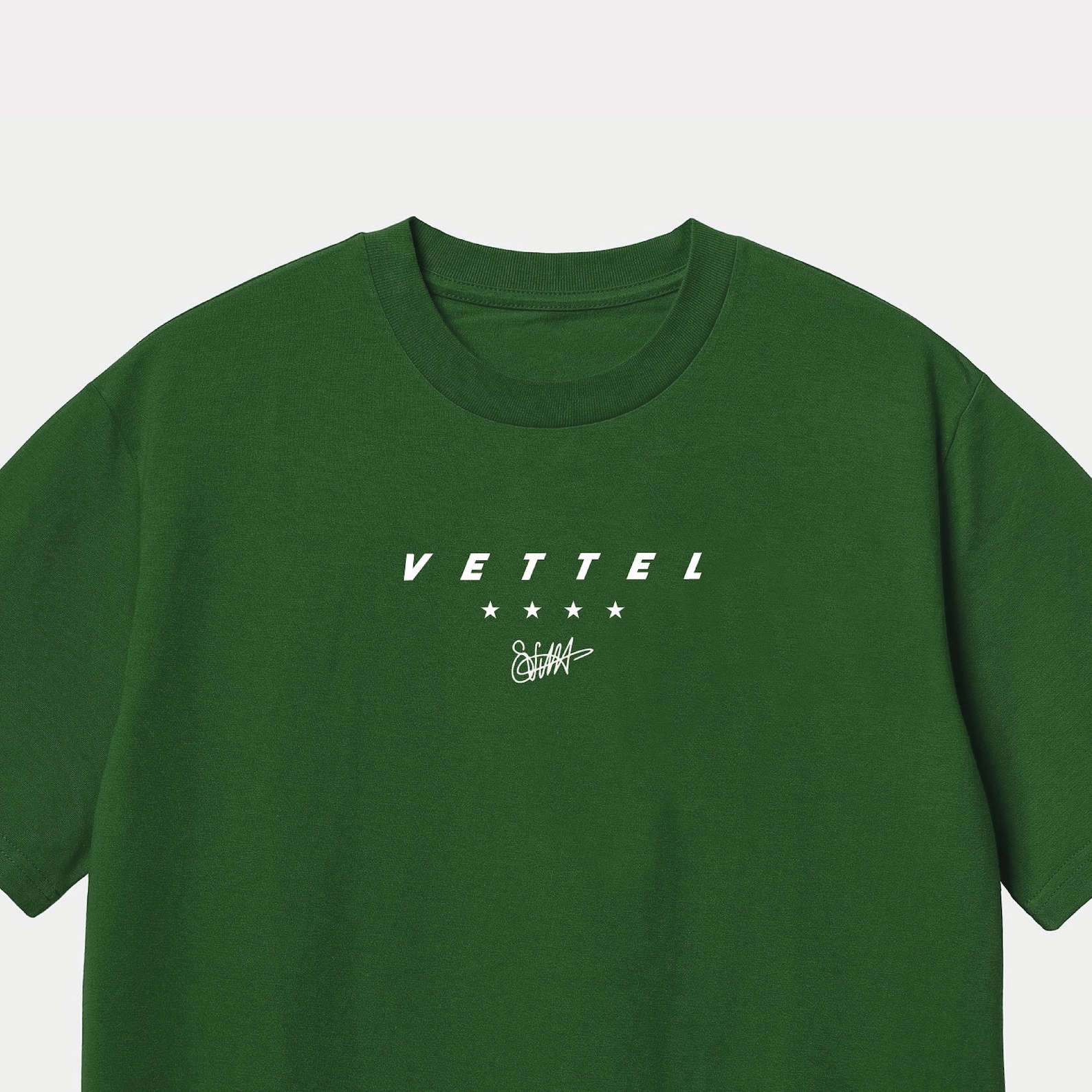 Vettel's Signature on a Piece of RB6 Carbon Fiber