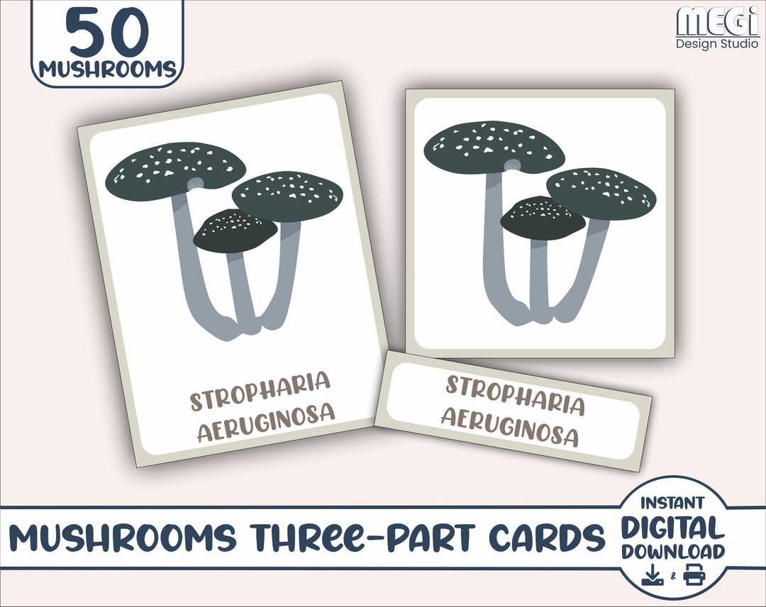 Mushrooms Flashcards 3 Part Cards for Kids Learning - Etsy
