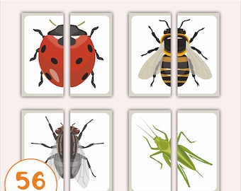 Insect Matching Activity - Insects Symmetry Puzzle for Kids - Preschool Activity - Printable Montessori Homeschool Games - Toddler Easy Game