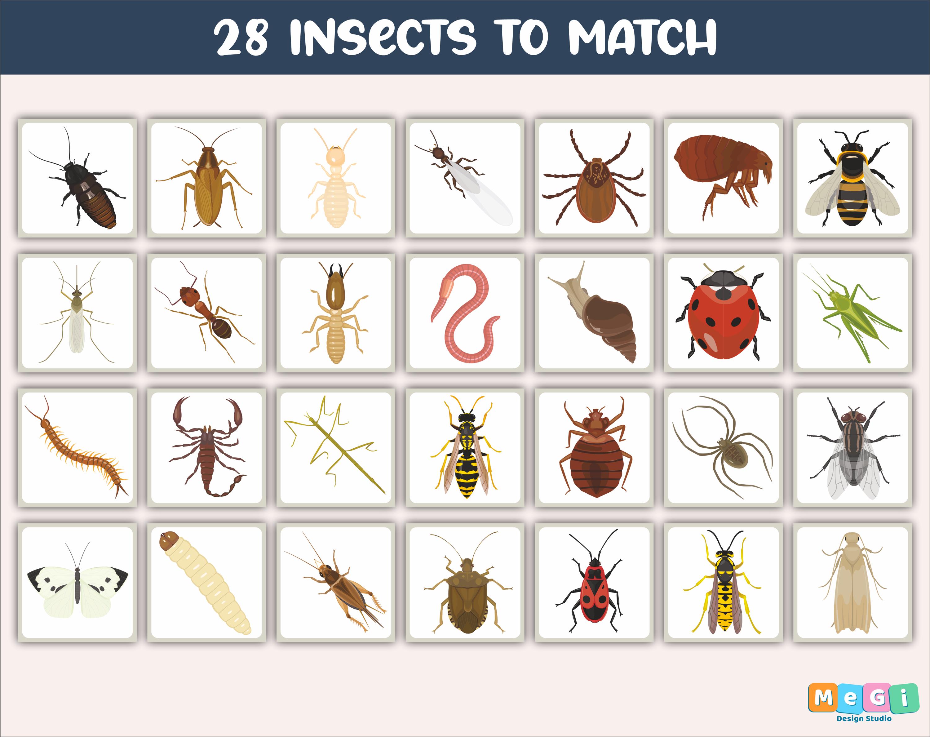 Insect Matching Activity - Insects Symmetry Puzzle for Kids - Preschool ...