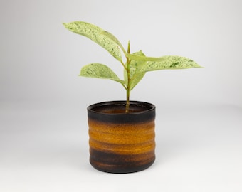 4 inch Planter Ribbed Brown Black Studio Pottery Handmade