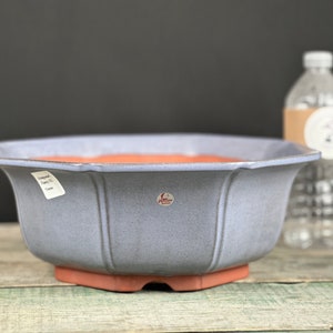 May include: A light blue glazed ceramic bonsai pot with a hexagonal shape and a rounded bottom. The pot has a label that reads "Unglazed Pottery Family 12" and a red sticker with the word "Western" on it.