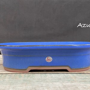 May include: A blue oval bonsai pot with a brown rim and a small red label that says "Willow Ceramics". The pot is sitting on a wooden surface. The text "Azul" is written in white on a black background above the pot.