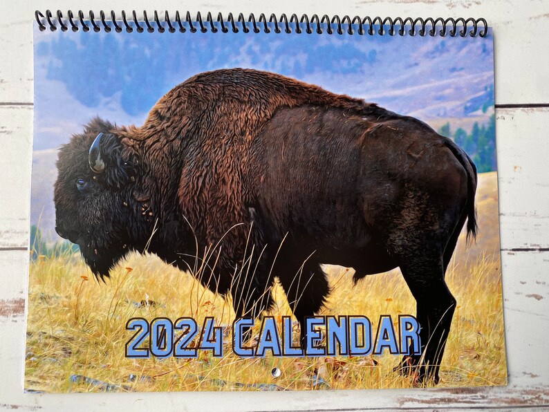2024 Bison Calendar, Buffalo Wall Calendar Etsy
