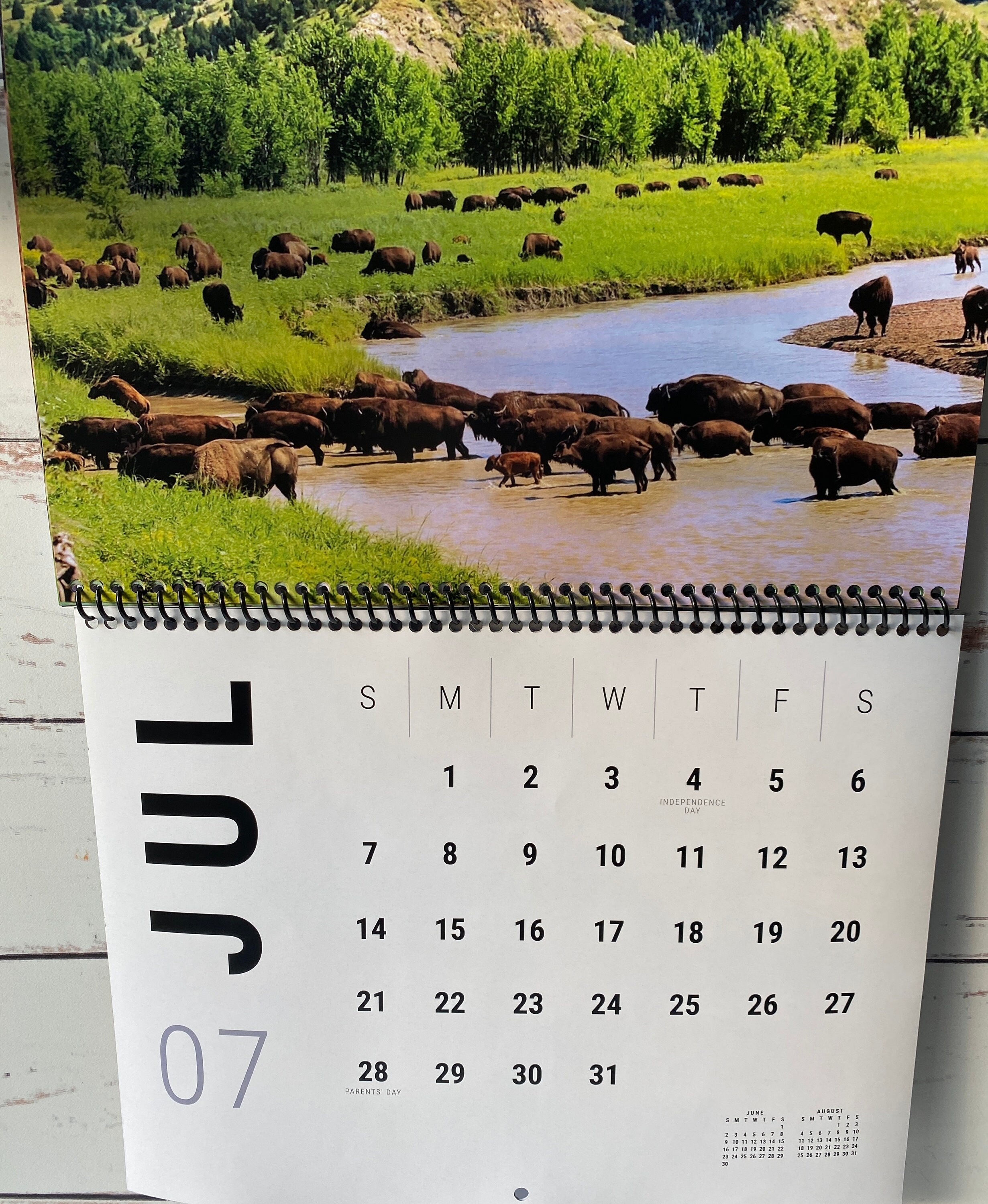 2024 Bison Calendar, Buffalo Wall Calendar Etsy