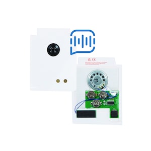 VoyGift (2er-Pack) selbstprogrammierte 60-Sekunden-Multi-Datei-Beilage für gedruckte Karten, Paamplets, Postkarten und Broschüren in einer Größe von 3x4"