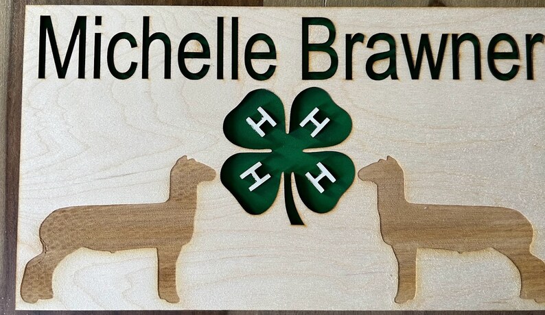 4 H Rabbit Signs 4H Show Signs - Etsy
