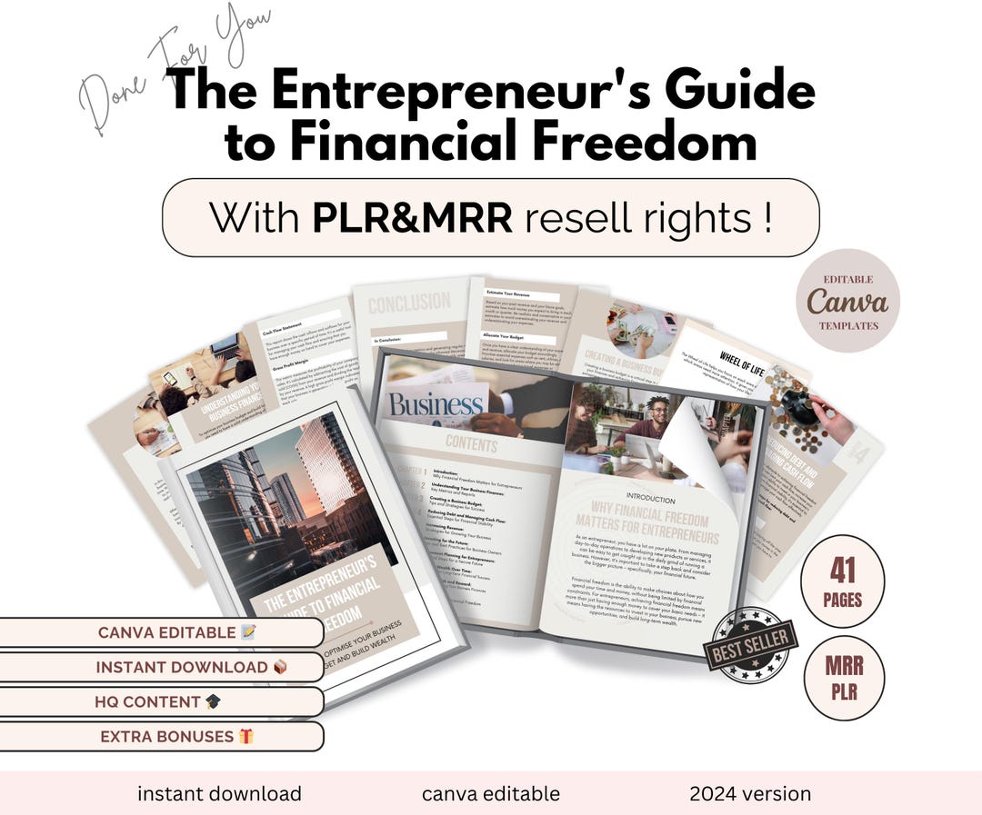 PLR Ebook the Entrepreneur's Guide to Financial Freedom | PLR & MRR ...