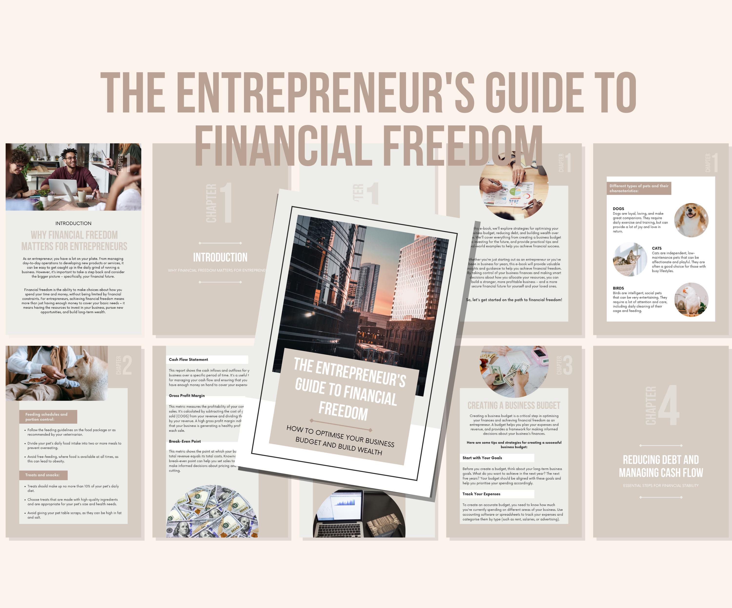 PLR Ebook the Entrepreneur's Guide to Financial Freedom | PLR & MRR ...
