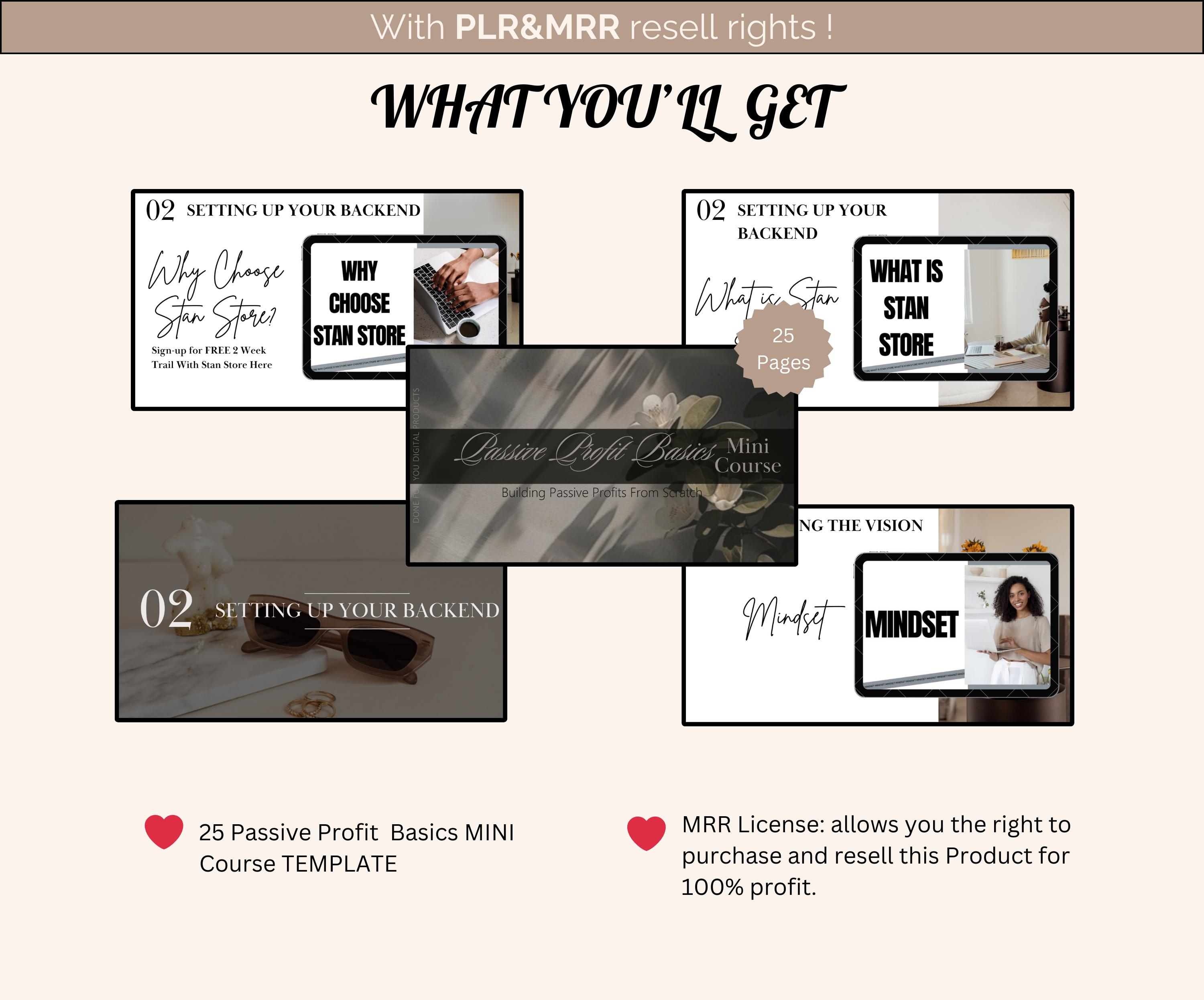 MRR PLR Passive Profit Basics Mini Marketing Course Bundle MRR Plr ...