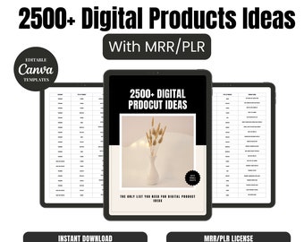 MRR 2500 Idées de produits numériques pour les revenus passifs | Droits principaux de revente | Fait pour vous | Modèle de toile | DPP | Side Hustle | 2024