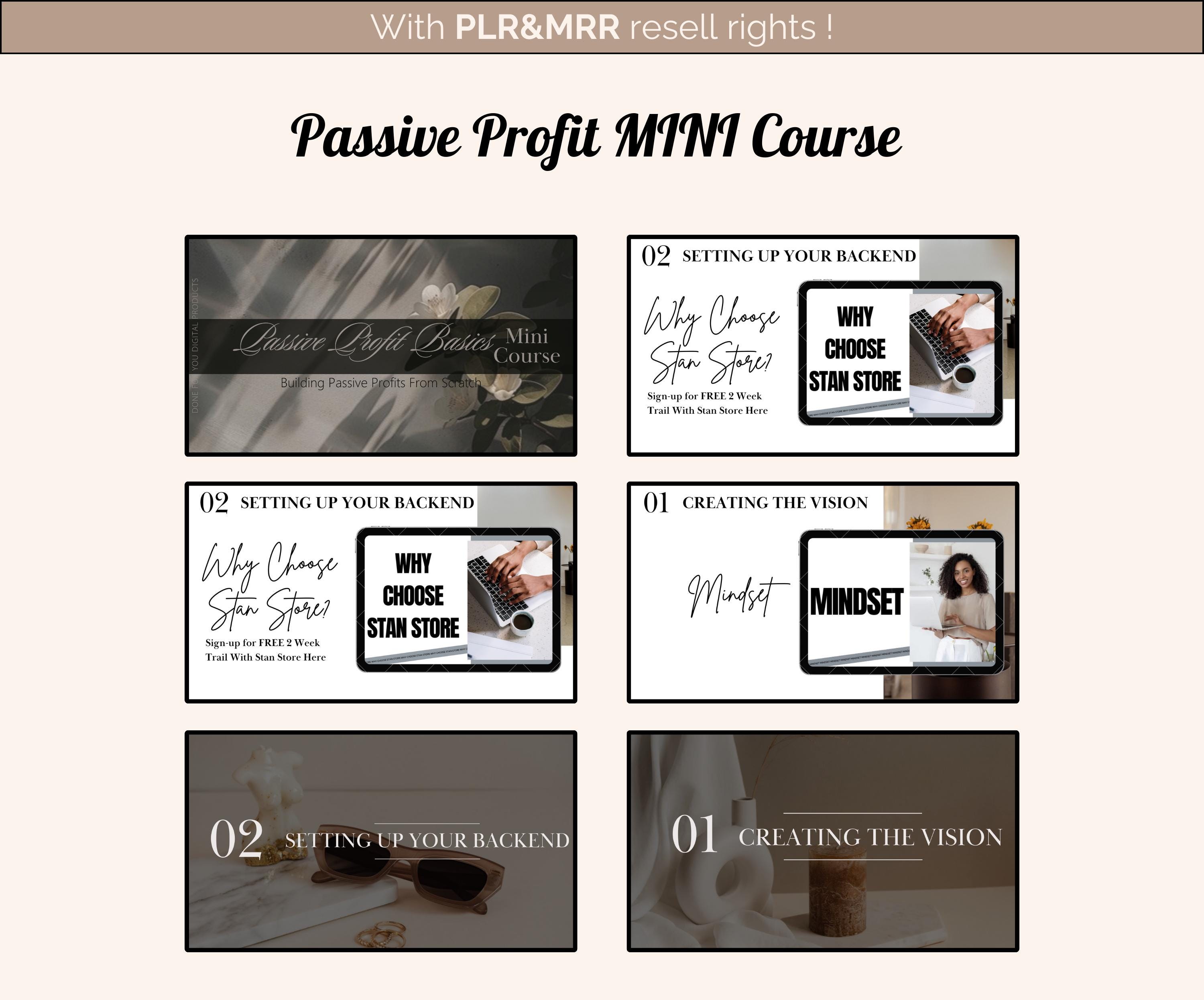 MRR PLR Passive Profit Basics Mini Marketing Course Bundle MRR Plr ...