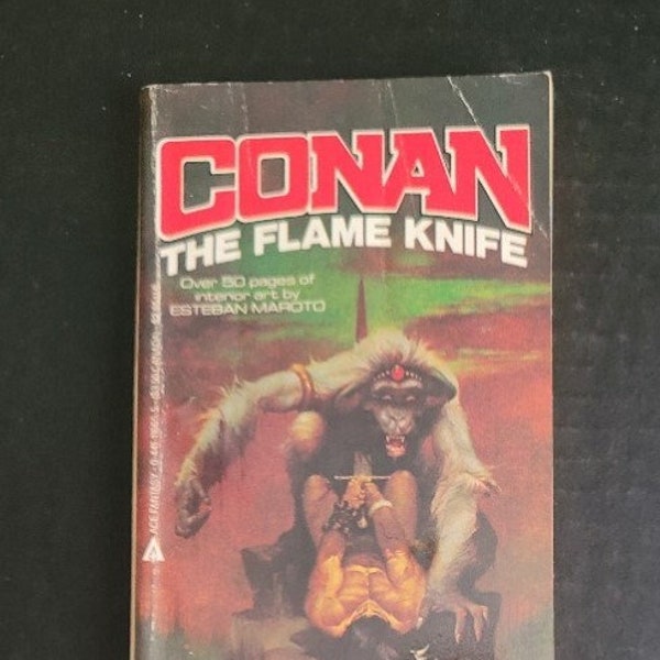 Vintage Paperback - Conan The Flame Knife by Robert Howard and L. Sprague de Camp and published by ACE Books Sept 1985 nicely illus. Maroto