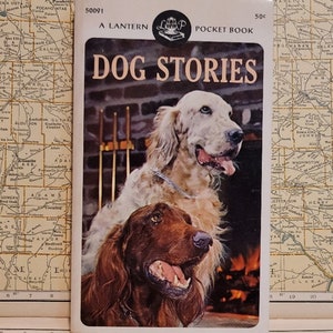 Brossura vintage - Storie di cani - a cura di David Thomas e pubblicata da Pocket Books, Inc - A Lantern Pocket Book 1964 1a stampa
