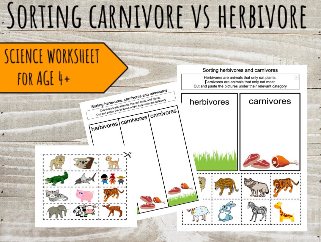 Sorting Herbivore and Carnivores - Etsy Australia Sorting Herbivore and Carnivores - Etsy Australia