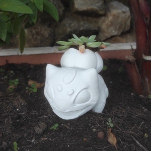 Peut inclure: Un pot de fleur blanc en forme de Bulbasaur avec une plante succulente. Le pot est en matériau lisse et est posé dans de la terre sombre. Le fond comprend un mur de pierre et du feuillage vert.