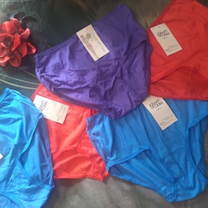 Vintage Panty Lot Size 6 Purple Red Blue 100% Combed Cotton By A Touch of Class Granny Panties Sissy Vintage Panties Lot of 5 New with Tag
