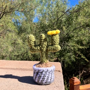 Saguaro Cactus Crochet Figure