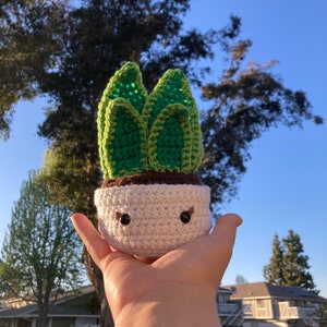 Snake Plant Amigurumi Crochet Figure