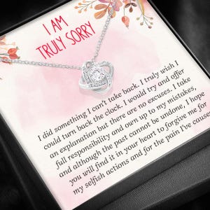 Sorry cadeau, sorry kaart, excusesketting, sorry cadeau voor vriendin vrouw vriend, vergeef me sieraden, sorry partner. Het spijt me echt