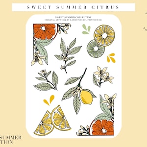 Doces florais cítricos de verão com. Adesivos decorativos para planejador Colorl
