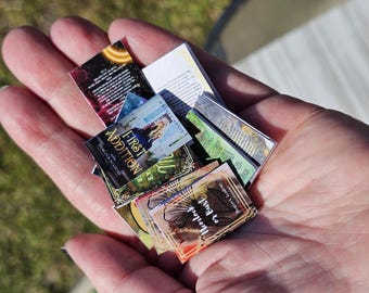 Mini books