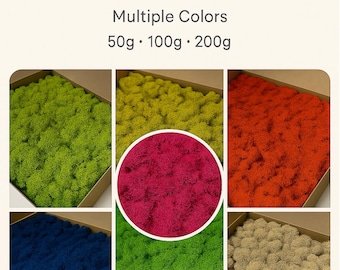 Preserved Reindeer Moss – Multicolor Lichen, Islandmoss for Crafts | Home Décor | DIY