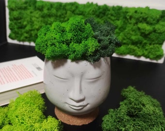 Handmade Ceramic Face Pot with Lichen Moss Hair: Customizable Colors