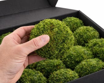 Mini Ball Moss Preserved – Light or Nature Green | DIY | Cushion, Bun, Mood, Pillow Moss