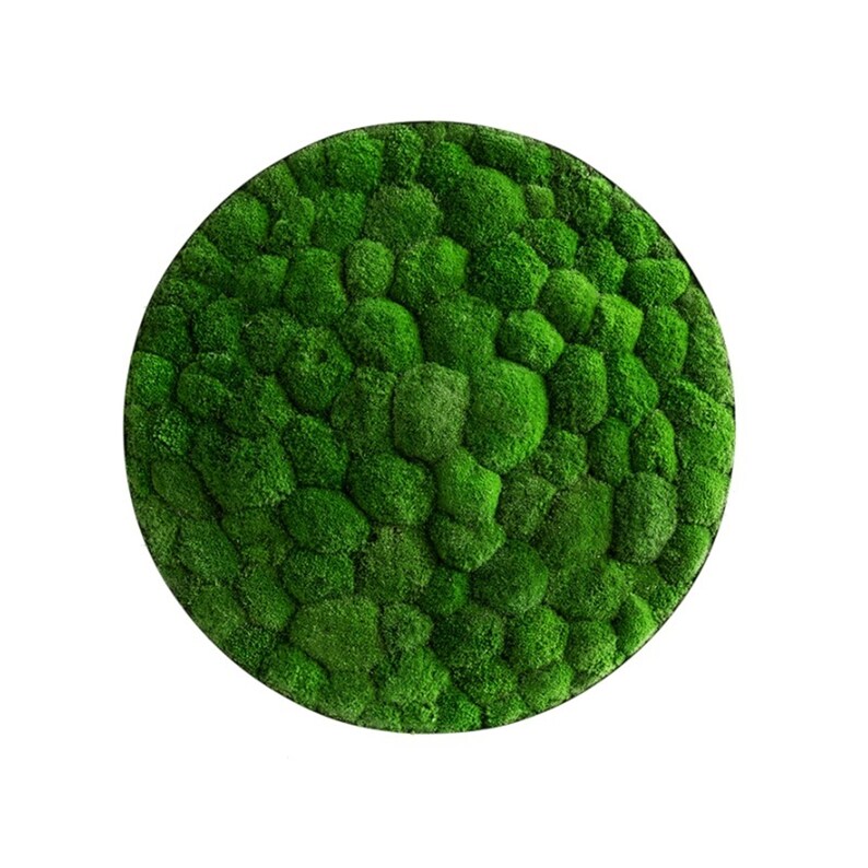 Circle Moss Wall Art Forest Green Ball Moss Circle Wooden Frame