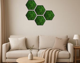 Moss Wall Art – Hexagon Nature Green Preserved Ball Moss in Natural Oak Frame
