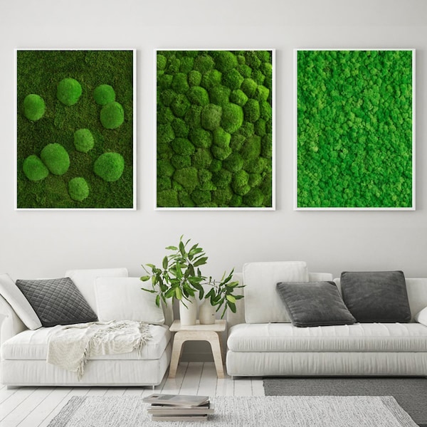 Art mural de mousse verte, mousse préservée stabilisée de renne, lichen naturel vert, cadre de mousse, décor d’art vert, bricolage de fleuriste, décorations florales