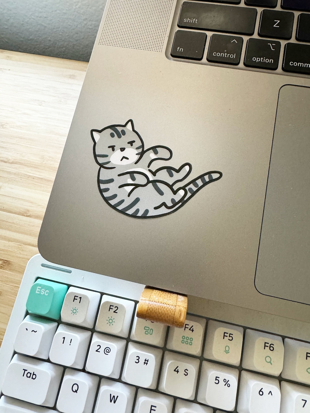 Grumpy Gray Kitty Cat Sticker | Waterproof Laptop Decal - Etsy