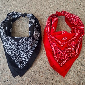 Organic Cotton Bandana Set: Paisley Scarf, Vibrant Colors
