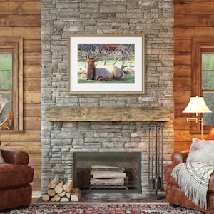 Bull Elk Wall Art, Wildlife Digital Print, Printable Wall Art, Photography Art Print
