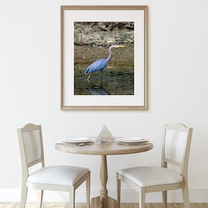 Impressão de garça azul, impressão digital de garça, arte de parede para impressão, impressão de arte fotográfica