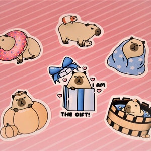 Capybara Sticker Pack - Charlie The Grumpy Capybara - Set of 6 Stickers - Cute Capybara Gifts - Fun Stickers for Planners and Journals