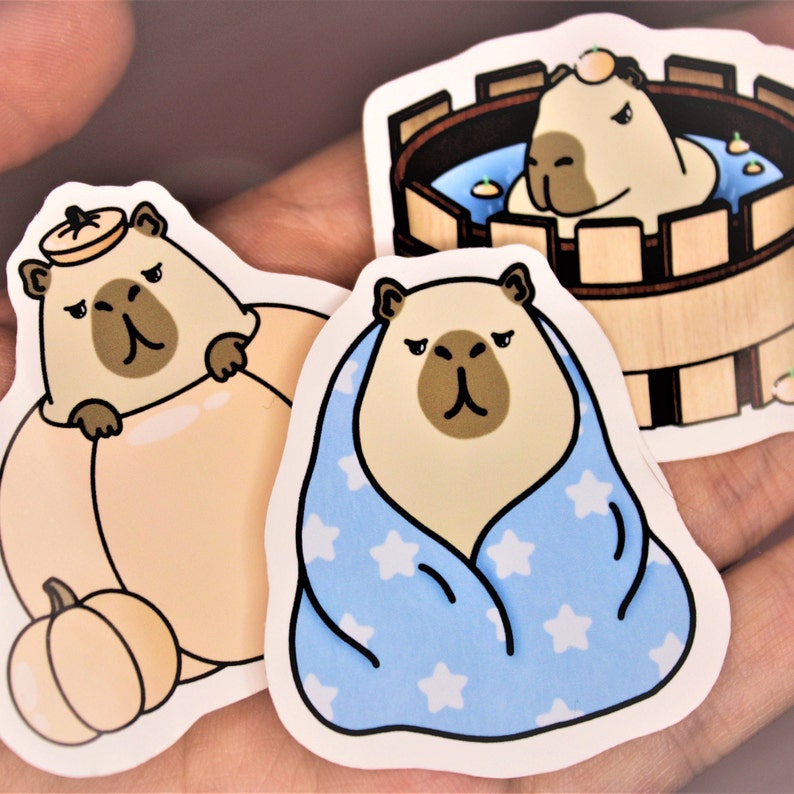 Op de afbeelding: Drie ge&iuml;llustreerde stickers met een capybara in verschillende scenario's. E&eacute;n sticker toont een capybara met een kroon die in een pompoen zit. Een andere sticker toont een capybara gewikkeld in een blauwe deken met witte sterren. De derde sticker toont een capybara die in een houten badkuip met water zit.