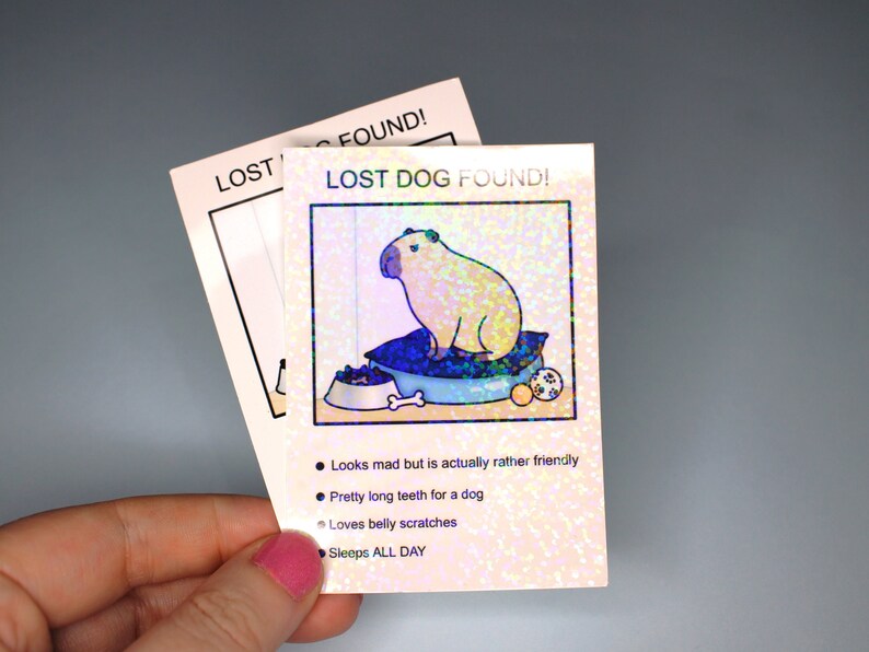 May include: A holographic lost dog poster featuring a cartoon capybara with the text "LOST DOG FOUND!" and a list of facts about the capybara: "Looks mad but is actually rather friendly", "Pretty long teeth for a dog", "Loves belly scratches", "Sleeps ALL DAY".