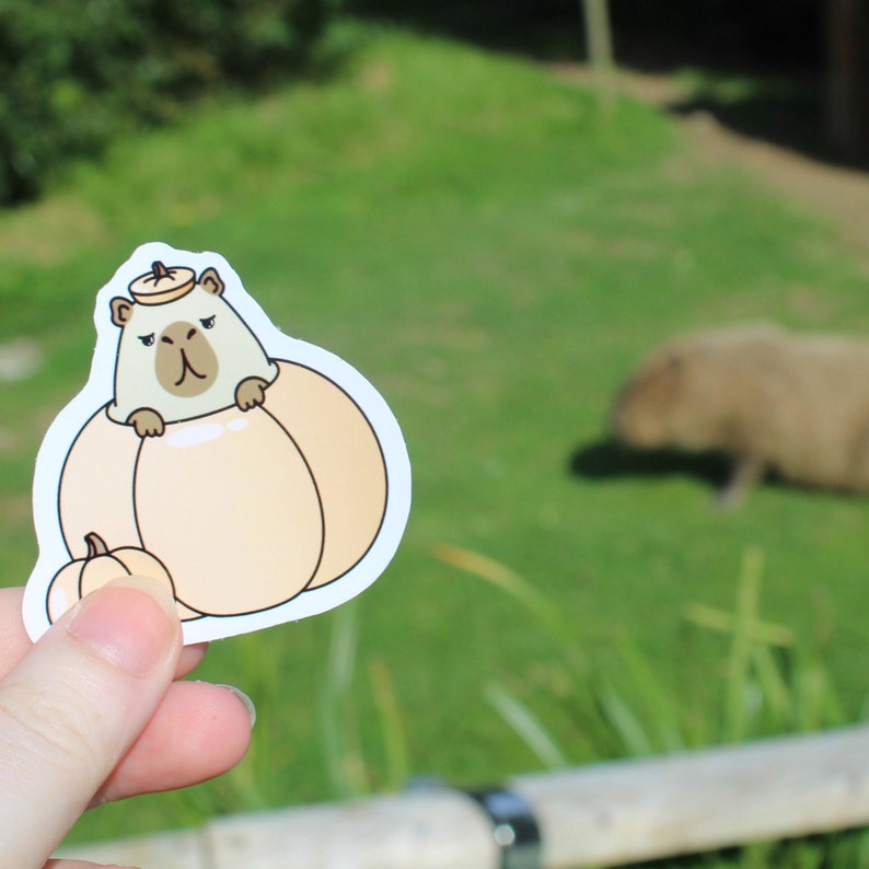 Op de afbeelding: Een sticker van een cartoon capybara met een pompoenhoed op en zittend in een pompoen. De sticker wordt in een hand gehouden tegen een wazige achtergrond van groen gras en een capybara.
