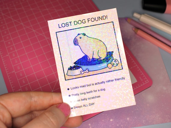 Humorous Capybara Sticker - Cute Capybara Stickers - Funny Lost Dog Found Decal - Capybara Vinyl Sticker for Planners - Animal Lover Gifts