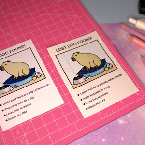 May include: Two illustrated cards with the text "Lost Dog Found!" and a cartoon image of a capybara. The text on the cards describes the capybara as being friendly, having long teeth, and loving belly scratches.
