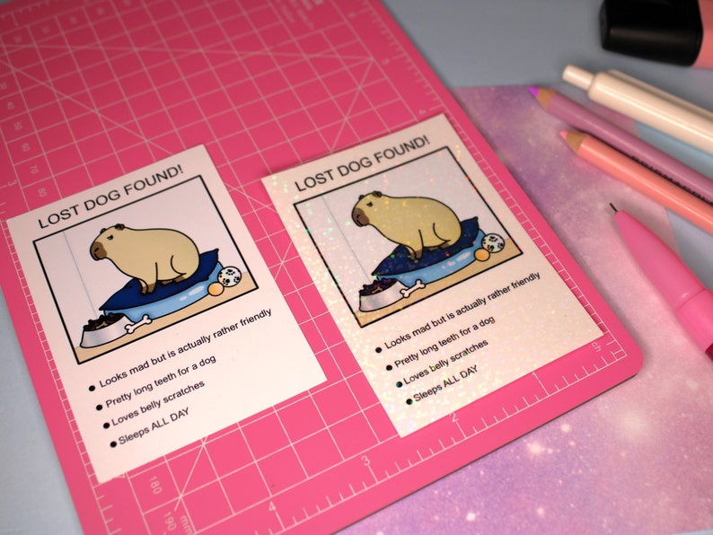 May include: Two illustrated cards with the text "Lost Dog Found!" and a cartoon image of a capybara. The text on the cards describes the capybara as being friendly, having long teeth, and loving belly scratches.