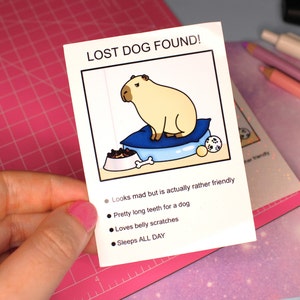 May include: A lost dog found poster featuring a cartoon capybara with a bowl of food, a bone, and a blue pillow. The text reads "LOST DOG FOUND!" and lists the dog's characteristics: "Looks mad but is actually rather friendly", "Pretty long teeth for a dog", "Loves belly scratches", and "Sleeps ALL DAY".