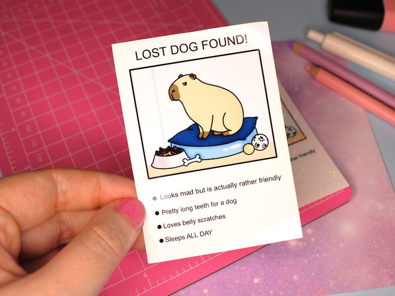 May include: A lost dog found poster featuring a cartoon capybara with a bowl of food, a bone, and a blue pillow. The text reads "LOST DOG FOUND!" and lists the dog's characteristics: "Looks mad but is actually rather friendly", "Pretty long teeth for a dog", "Loves belly scratches", and "Sleeps ALL DAY".