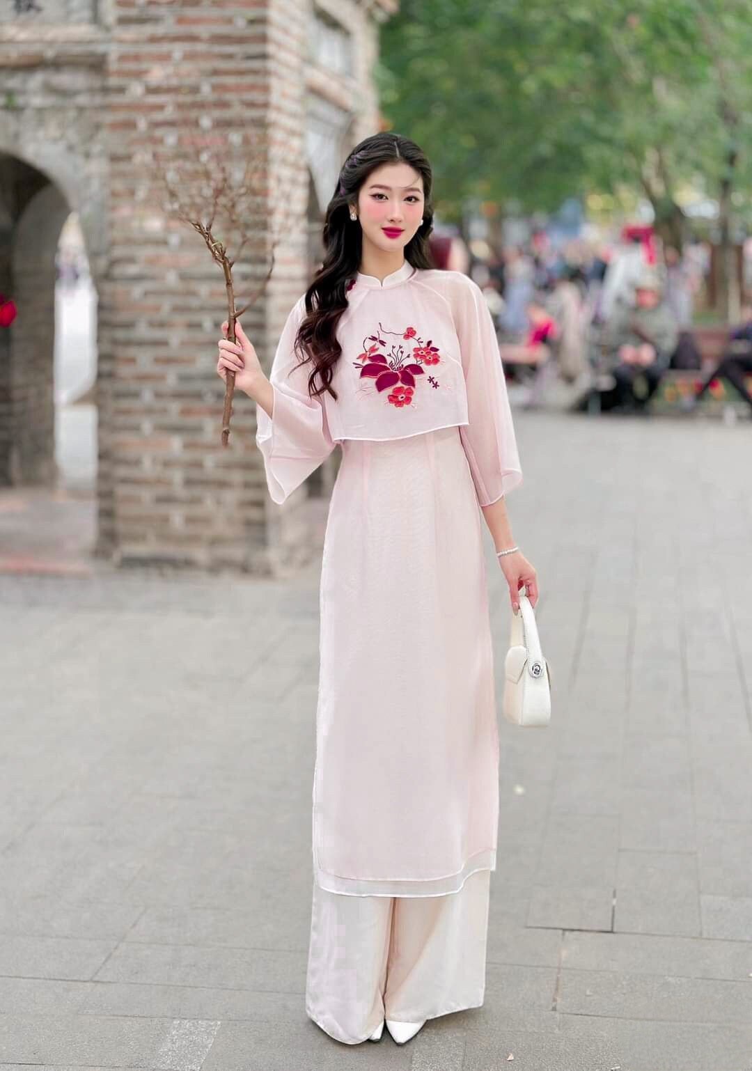 Blush Button Embroidery Ao Dai Set Premade Traditional Vietnamese Ao