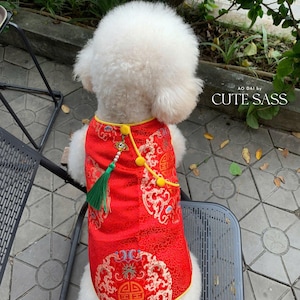 May include: A small white dog wearing a red Chinese-style dog dress with gold and yellow accents. The dress features a decorative pattern and a green tassel. The text "AO DAI by CUTE SASS" is visible.