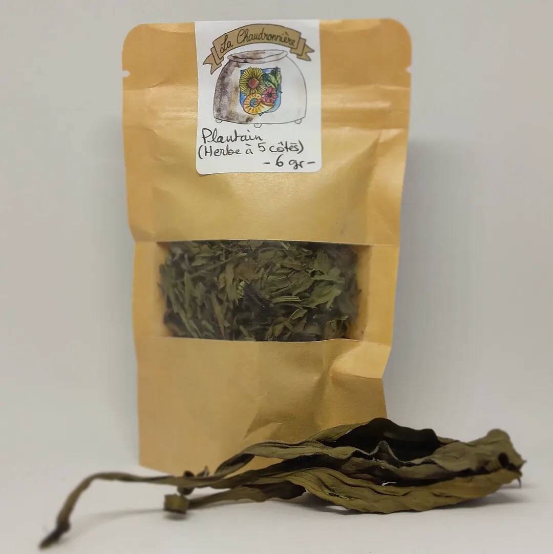 Plantain -Sachet 6Gr - Infusion Tisane