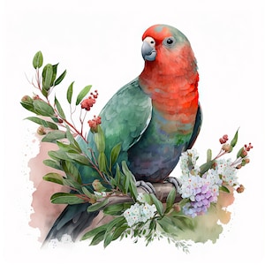 Pegatinas de aves australianas: Set de pegatinas de aves australianas brillantes y mate imagen 6