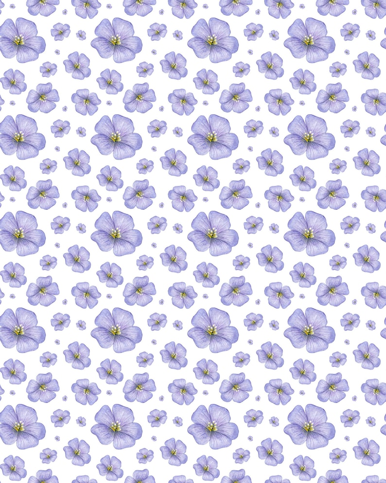 Pu&ograve; includere: Un motivo ripetitivo di fiori di lino viola chiaro su sfondo bianco. Ogni fiore presenta cinque petali delicati con venature visibili e un piccolo centro giallo. Il design include fiori di varie dimensioni disposti in modo sparso.